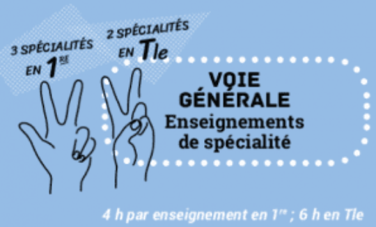 Bien choisir ses enseignements de Spé