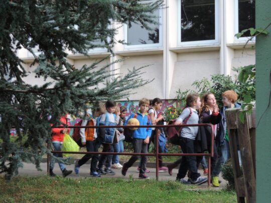 Evolution de l&rsquo;offre du LFJM : votre contribution est précieuse