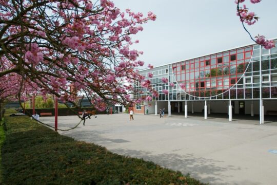 Ontdek het FLJM