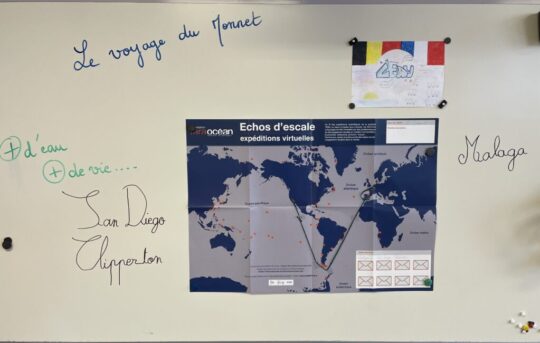 Larguons les amarres!!