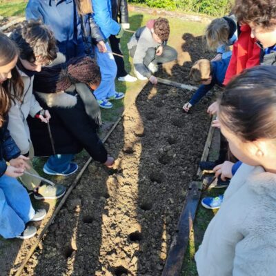Le potager reprend vie en mars