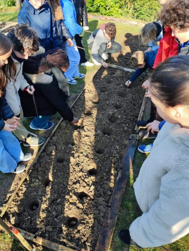 Le potager reprend vie en mars