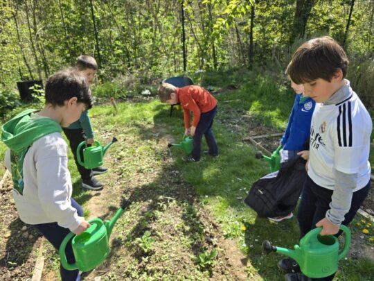 Avril au vert : nos actions écoresponsables