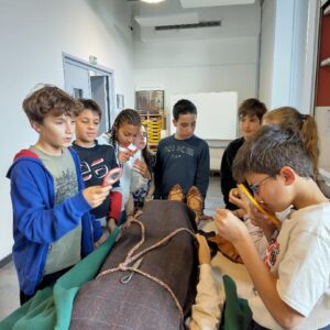 Forum de Bavay - atelier enquête archéologique