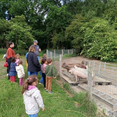 Visite de la ferme du Mont-Lassy !