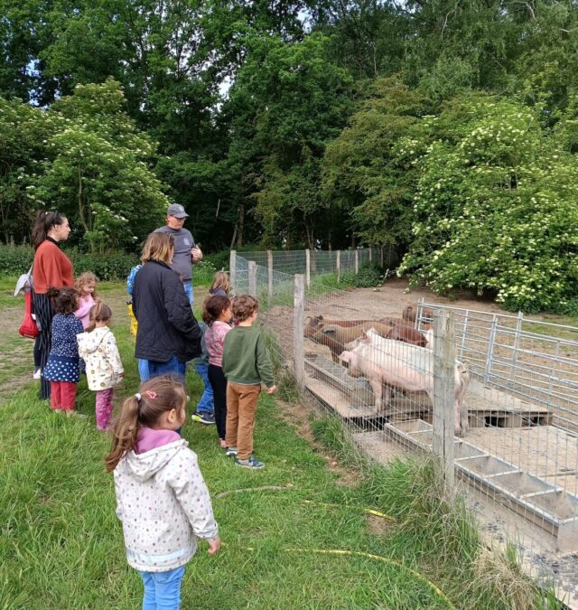 Visite de la ferme du Mont-Lassy !