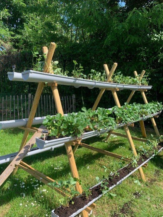 Mai fait ce qu’il lui plaît… au potager aussi !