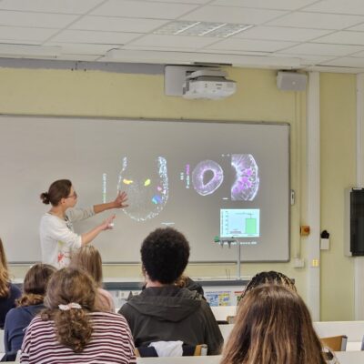 Ateliers « Découverte des métiers de la santé » au LFJM
