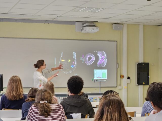 Ateliers « Découverte des métiers de la santé » au LFJM