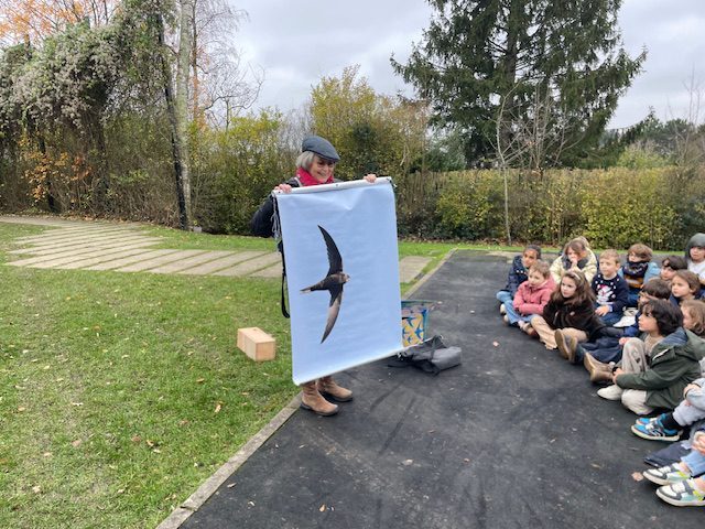 Sur les traces des oiseaux migrateurs : une aventure pour les CP