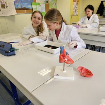 Manipuler: une spécificité de l&rsquo;enseignement en SVT