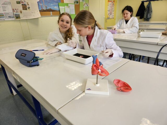 Manipuler: une spécificité de l&rsquo;enseignement en SVT